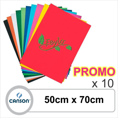 Promo Canson Color 50X70 X 10 Unidades