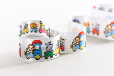 Tren De La Selva 39Mm X 10Mt