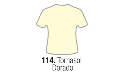 Eterna Pint.tela Tornasol Dorado    37Ml