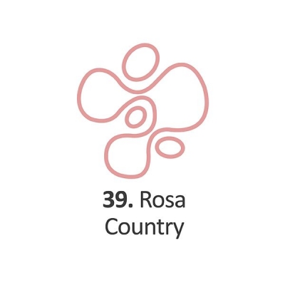 Pintura Dimensional Rosa Country   40ml.
