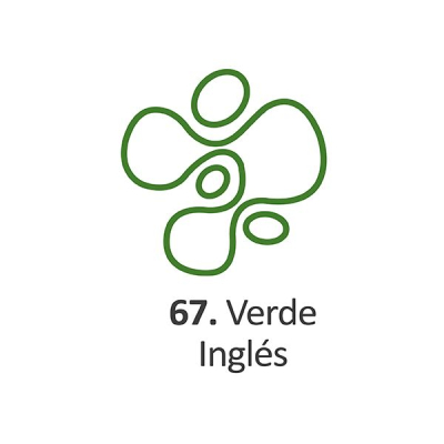 Pintura Dimensional Verde Ingles   40Ml.