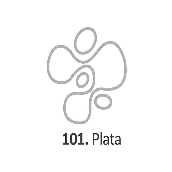 Pintura Dimensional Plata          40Ml.