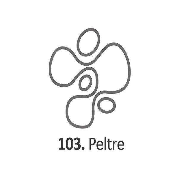 Pintura Dimensional Peltre         40Ml.