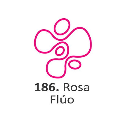 Pintura Dimensional Rosa Fluo      40ml.