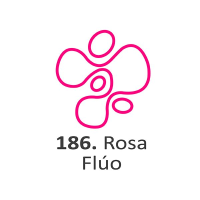 Pintura Dimensional Rosa Fluo      40Ml.