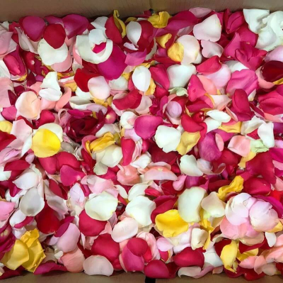 Petalos De Rosa Naturales (15 Grs)