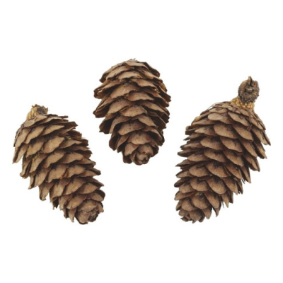 Piñas Chicas (Alerce) X 1