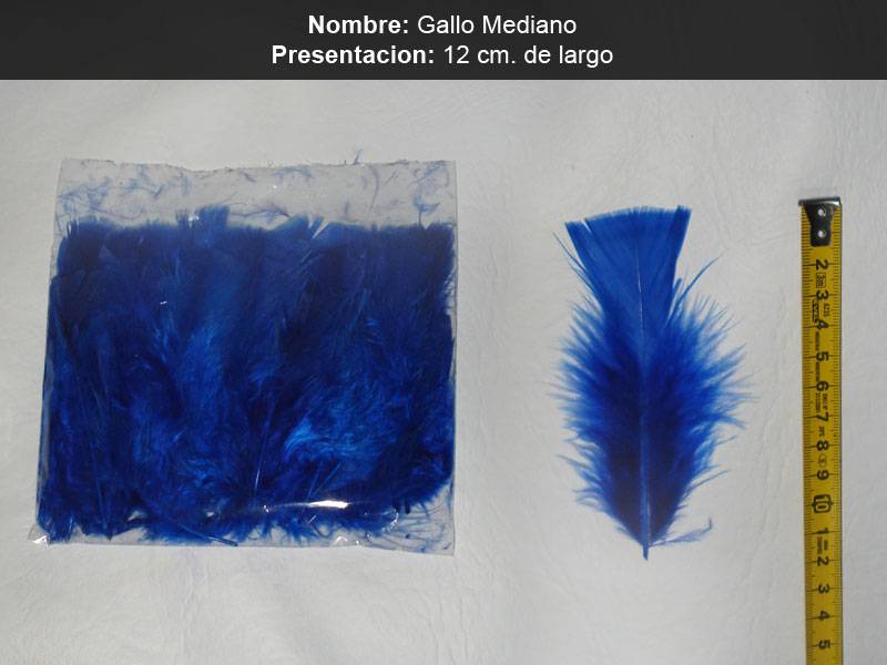 Plumas Gallo Mediano X 50 Un.