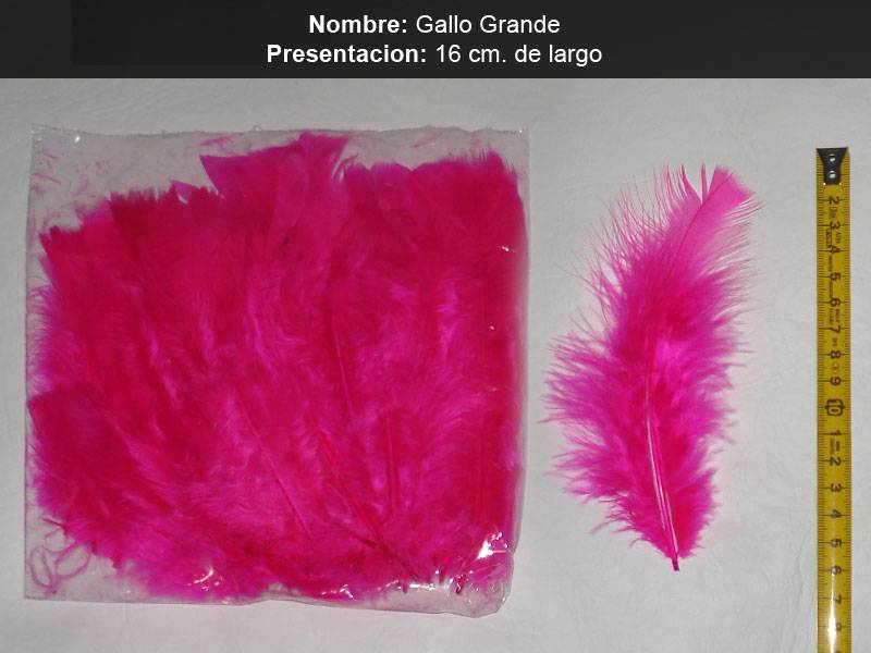 Plumas Gallo Grande X 50 Un.