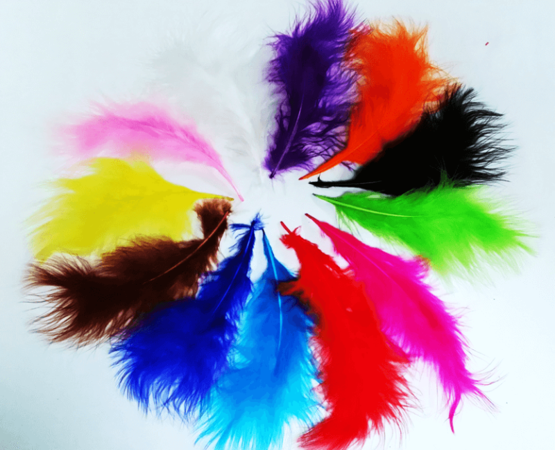 Plumas De Promocion X 100