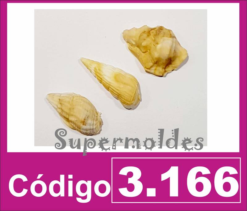 Caracoles De Mar X 3    2,5 Cm