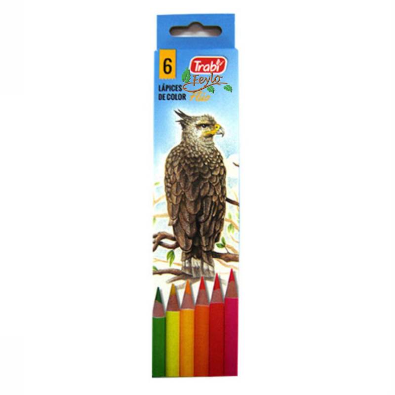 Lapiz Fluor Surtido X6