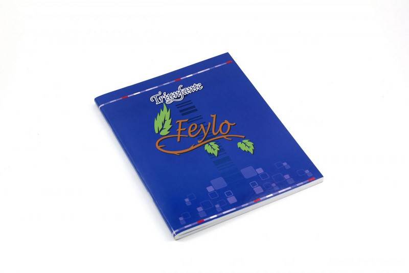 Cuaderno Tapa Flexible Triunfante 24 Hjs