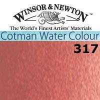 Cwc 8 Ml  Rojo Indio 317