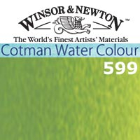 Cwc 8 Ml  Verde Vejiga  599