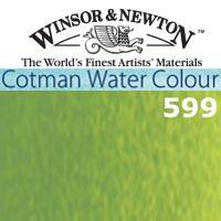 Cwc 8 Ml  Verde Vejiga  599